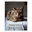 Search for valenine Funny
