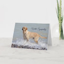 Search for lab dog cards Yellow