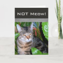 Search for expression cards Cat