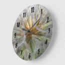 Search for dandelion clocks Seed