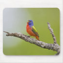 Search for environment mousepads Texas