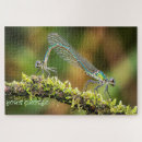 Search for iridescent puzzles Dragonfly