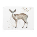 Search for fawn magnets Woodland