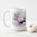 Search for kittens mugs Pet