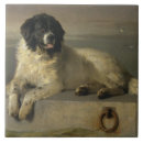 Search for humanity tiles Dog