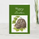 Search for spring renewal cards Bunny