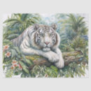 Search for jungle tissue paper Big cat