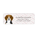Search for pink chevron return address labels Pattern