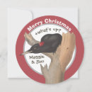 Search for woodpecker christmas cards Birds