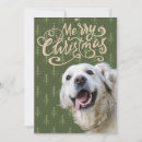 Search for golden retriever christmas cards Elegant