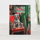 Search for great dane christmas cards Dogs