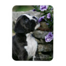Search for panting magnets Canine photographer