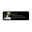 Search for glacier return address labels Landscape
