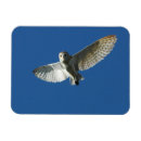 Search for in flight magnets Usa