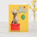Search for chihuahua birthday cards Pets