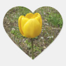 Search for yellow tulips stickers Nature