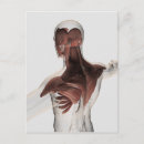 Search for biomedical postcards Male likeness