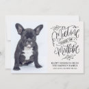 Search for cute dog christmas cards Script