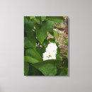 Search for lilac canvas prints Bloom