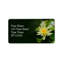 Search for pond return address labels Water lily