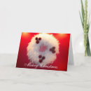 Search for white feather cards Winter