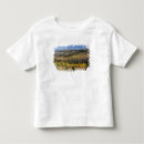 Search for nf clothing National