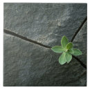 Search for boulder tiles Outdoors