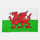 Search for red dragon napkins Welsh
