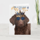 Search for coats cards For him