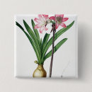 Search for amaryllis badges Joseph
