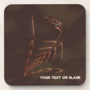 Search for fossil coasters Paleontology