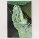 Search for rhinoceros puzzles Wildlife photography