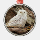 Search for white owl christmas tree decorations Brown