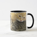 Search for shelter mugs Kittens