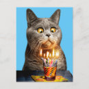 Search for shots invitations Funny