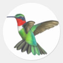 Search for ruby stickers Hummingbird
