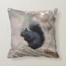 Search for black squirrel cushions Animal
