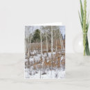 Search for mexico christmas cards Snow