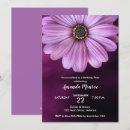 Search for purple daisy invitations Daisies