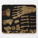 Search for anatomically mousepads Aquapendente