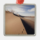 Search for idaho christmas tree decorations Park