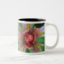 Search for paintbrush mugs Castilleja