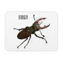 Search for beetle magnets Bug