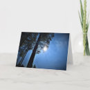 Search for sunlight cards Photography
