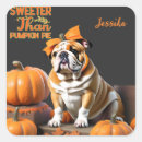 Search for sweet pie stickers Pumpkin