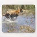 Search for agile mousepads Speed