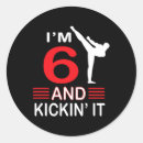 Search for girl martial arts stickers Kung fu