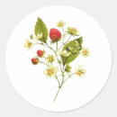 Search for vintage botanical print stickers Butterfly