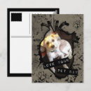 Search for love cats postcards Cute animals