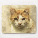 Search for cat paintings mousepads Kitty